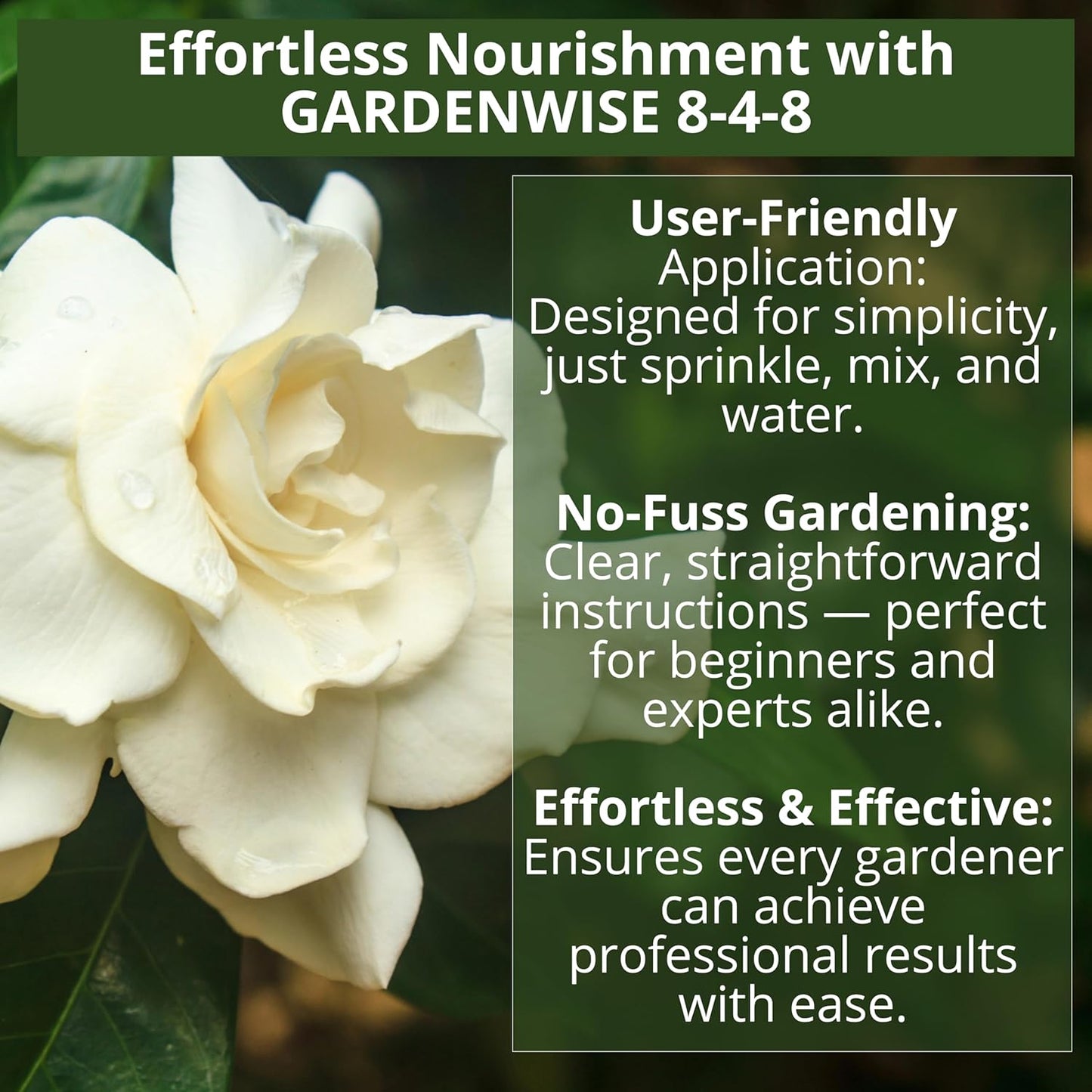 8-4-8 Acidic Fertilizer for Azaleas, Camellias (Camelia), Hydrangeas, Blueberries, Gardenias, Magnolia Trees, Evergreens, and Rhododendrons - Ideal Iron-Rich Plant Food (5 QUARTS)