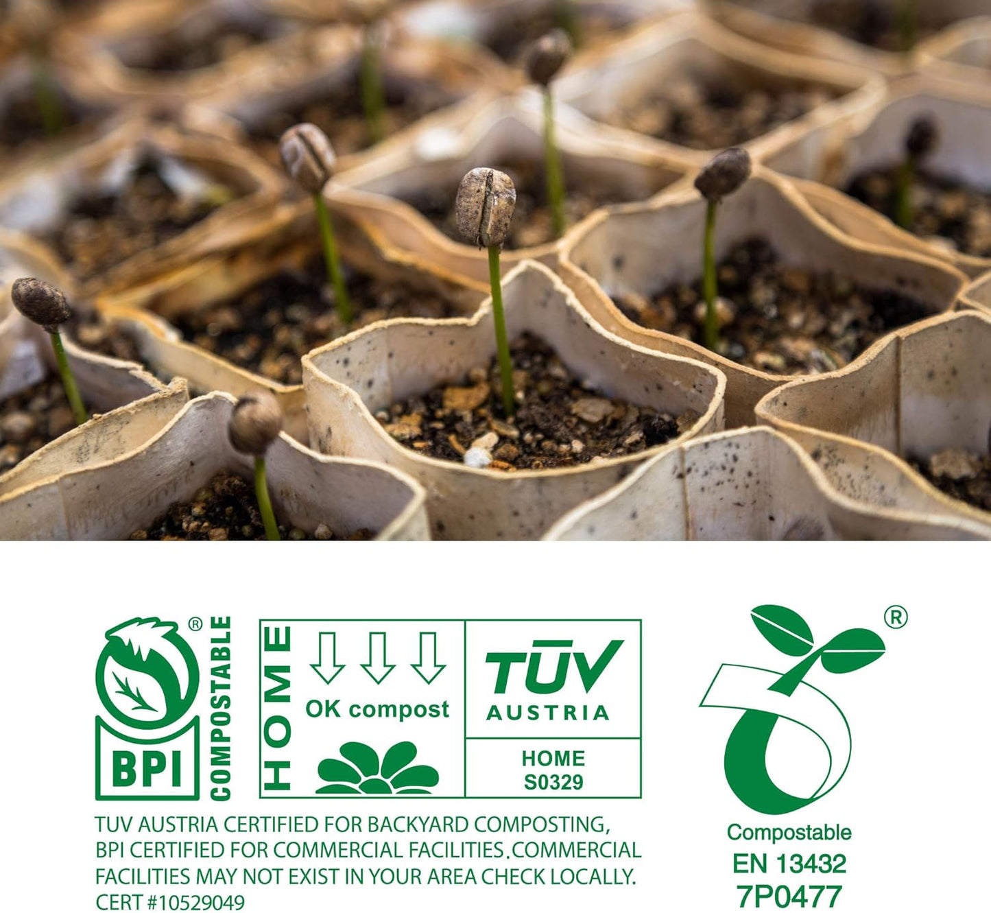 Compostable Trash Bags 13 Gallon, Tall Kitchen Food Waste Bags, US BPI ASTM D6400 and Europe OK Compost Home Certified, Heavy-Duty, 49.2 Liter, 100 Count, Extra Thick