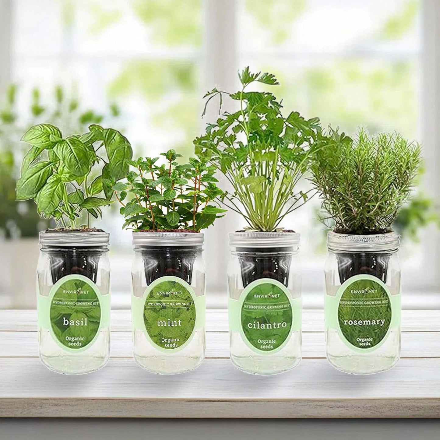 Hydroponic Herb Growing Kit Set, Self-Watering Mason Jar Herb Garden Starter Kit Indoor, Grow 4 Kinds of Herbs from Seeds (Basil, Mint, Cilantro & Rosemary)