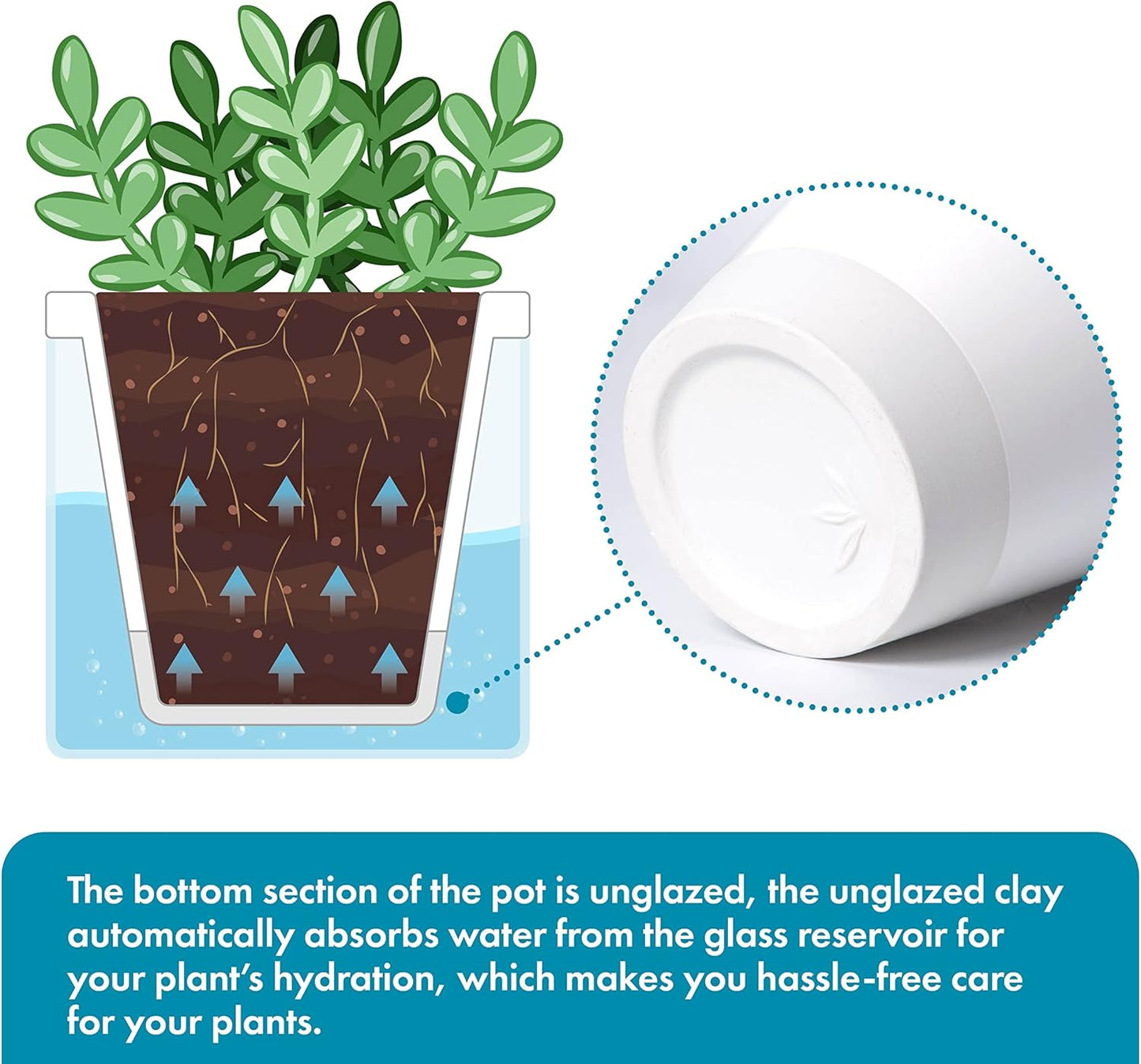 D'vine Dev 4 Inch Design Self Watering Planter for Indoor Plants, White Terracotta Pots with Cylinder Glass Cup, Set of 3, 37-Z-A-2-T