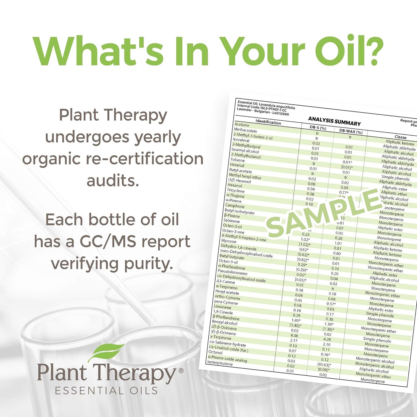Plant Therapy KidSafe Organic Destroyer Essential Oil Blend 10 mL (1/3 oz) 100% Pure, Undiluted, Therapeutic Grade