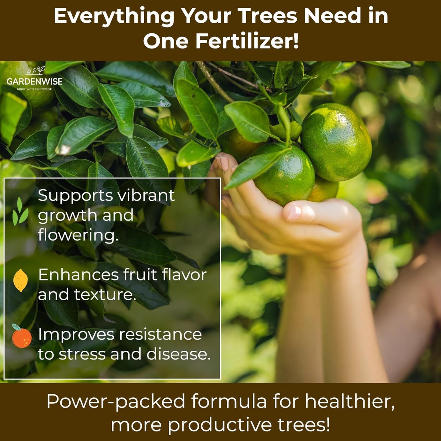Professional Citrus Fertilizer + Vital Micronutrients; Perfect Balanced NPK for All Citrus; for Indoor and Outdoor Plants; Orange, Lime, Avocado and Lemon Tree Fertilizer (4 QUARTS)