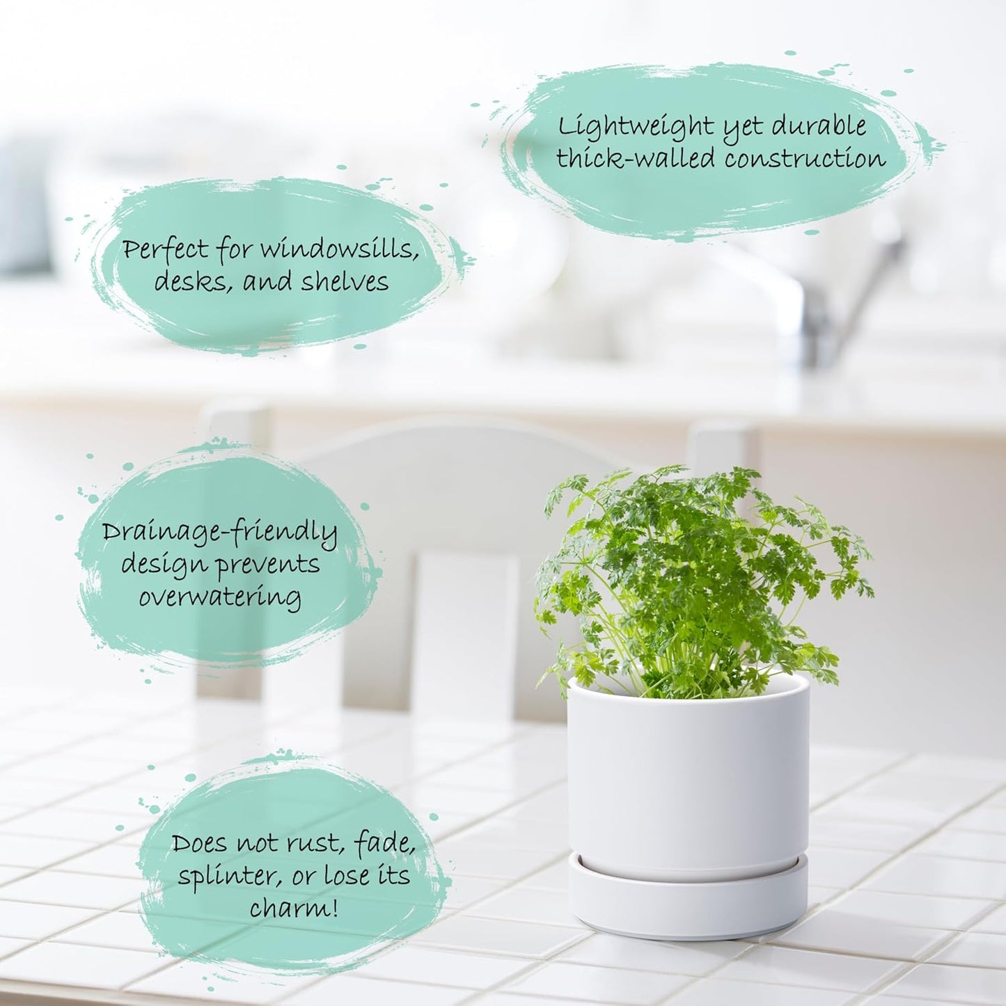 Phoenix Vine 4 Inch Planter Pot with Drainage Hole & Saucer, Deep Water Catch Tray, Straight Cylindrical Round Pot for Plants, Matte White, Pack of 6, 23-B-R-6