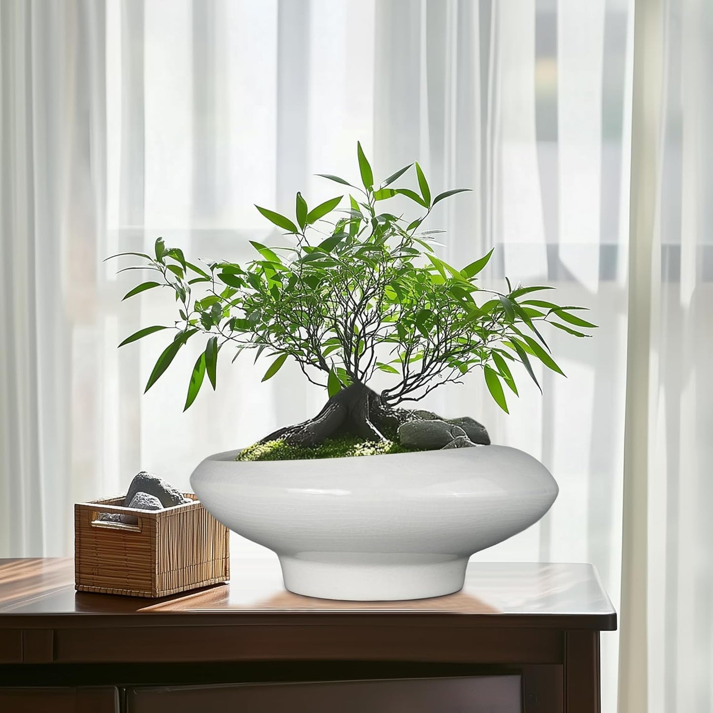 Bonsai Pots 13 Inch - Ceramic Succulent Pots with Drainage Hole Decorative Plant Pot Indoor Large Outdoor Planter Modern Flower Pot for Home Garden Office Room Decor Gray