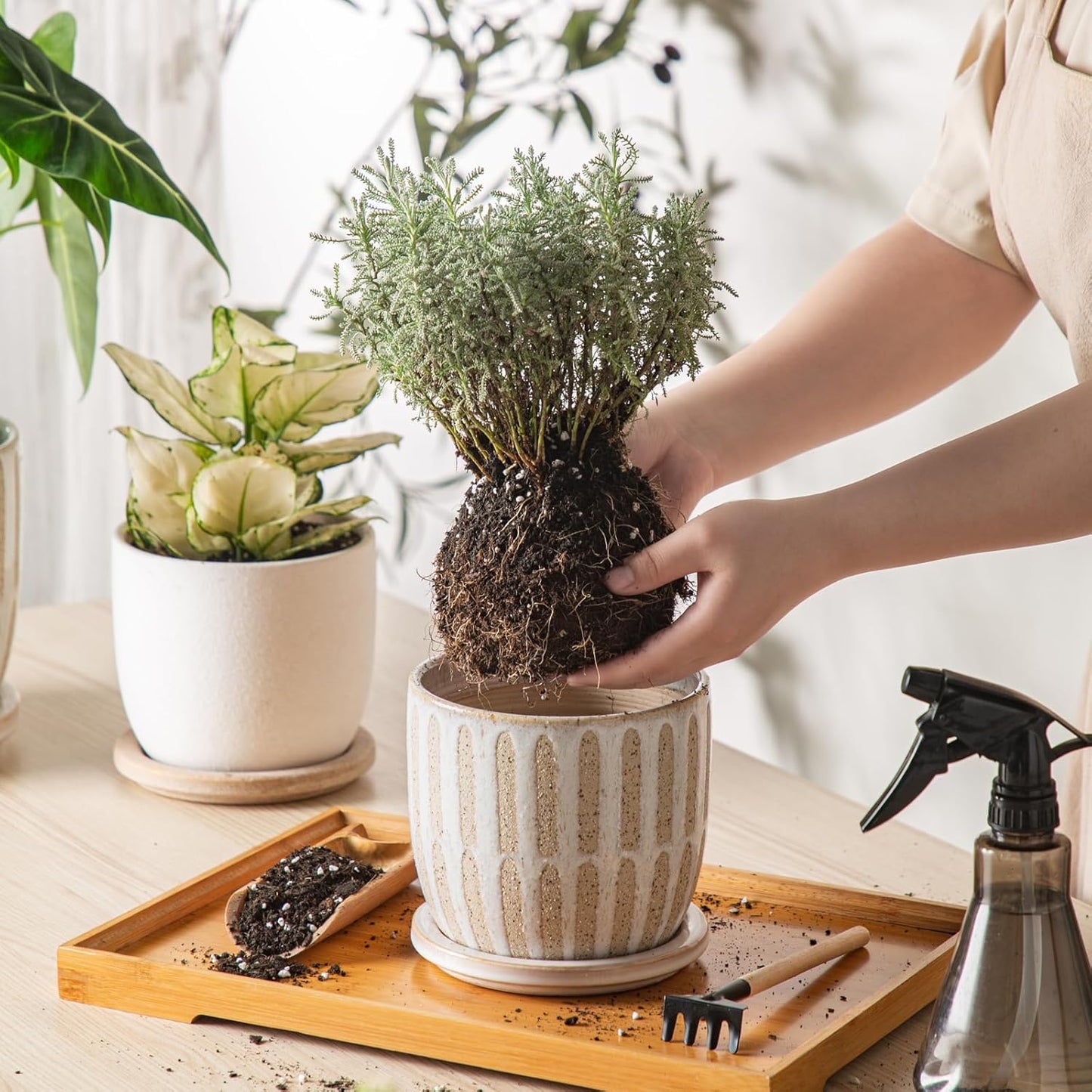 Ceramic Flower Pots Indoor-Outdoor: 5.75 Inch Planters with Drainage Holes & Saucer - Modern Decorative Plant Pots Ceramic for Home Gardeners (Striped)