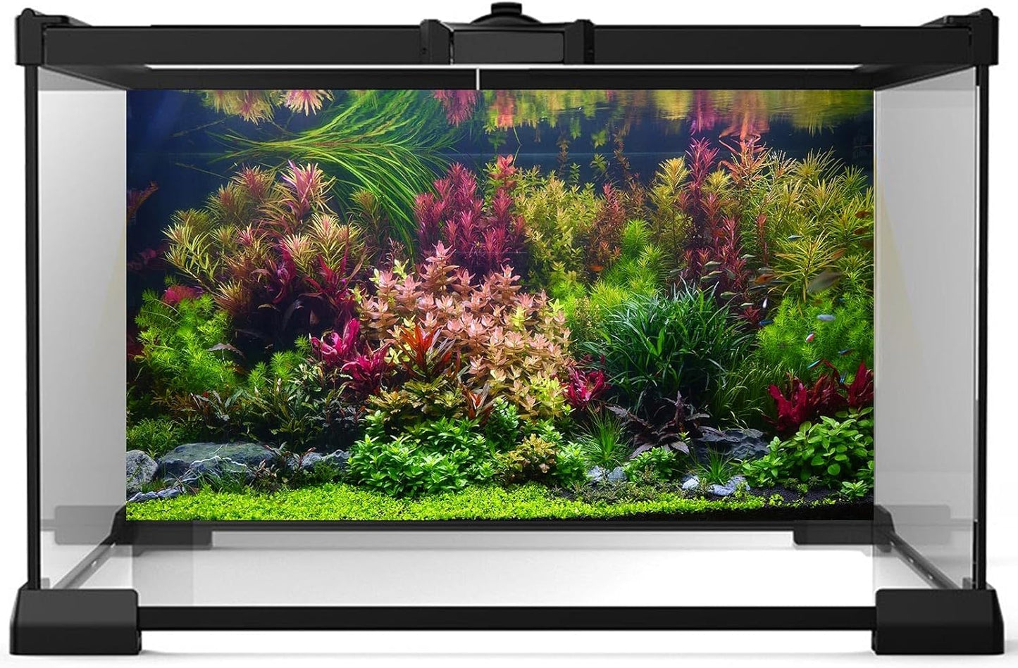 Aquarium Background Various Vivid Fresh Underwater Aquatic Plant Fish Tank Aquarium Backdrop Stone River Bed and Lake Fish Terrarium Background Decor Vinyl 48x20in