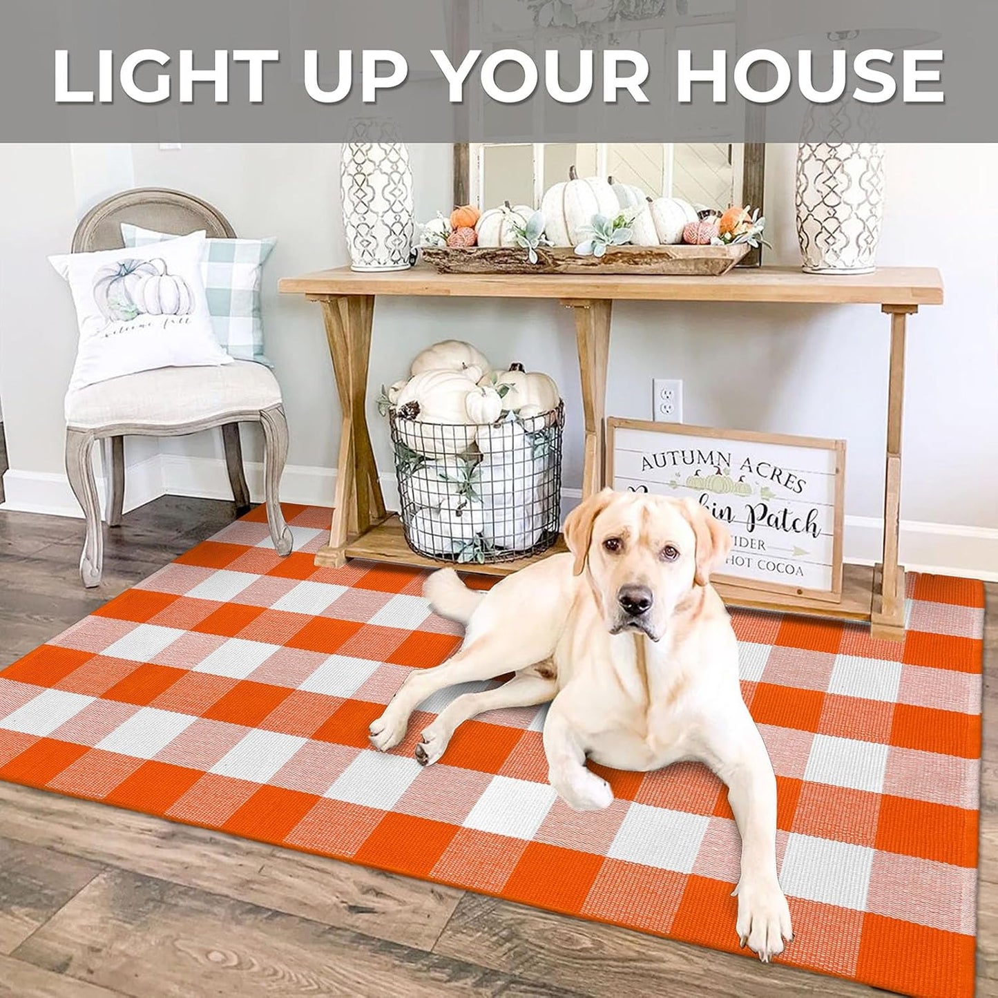 IOHOUZE Fall Buffalo Plaid Check Rug Outdoor Doormat 3x5 Ft Washable Woven Outdoor Indoor Welcome Mats for Front Door/Farmhouse/Entryway/Home Entrance Orange and White Outdoor Rug