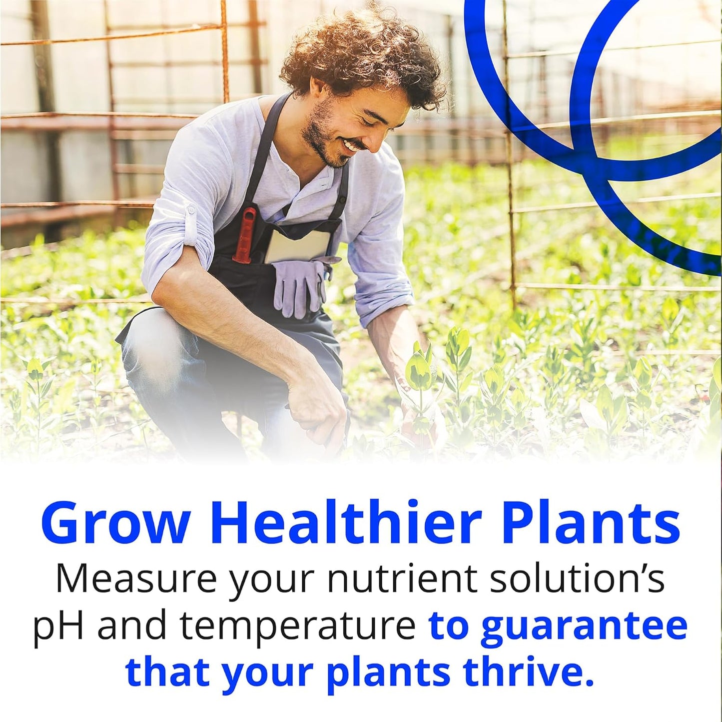 Bluelab pH Pen Meter and Probe Care Kit pH with Calibration Supplies, Storage Solution & Brush, Reliable Digital Tester for pH, Temperature in Growing Solutions, Optimal Plant Health and Yield