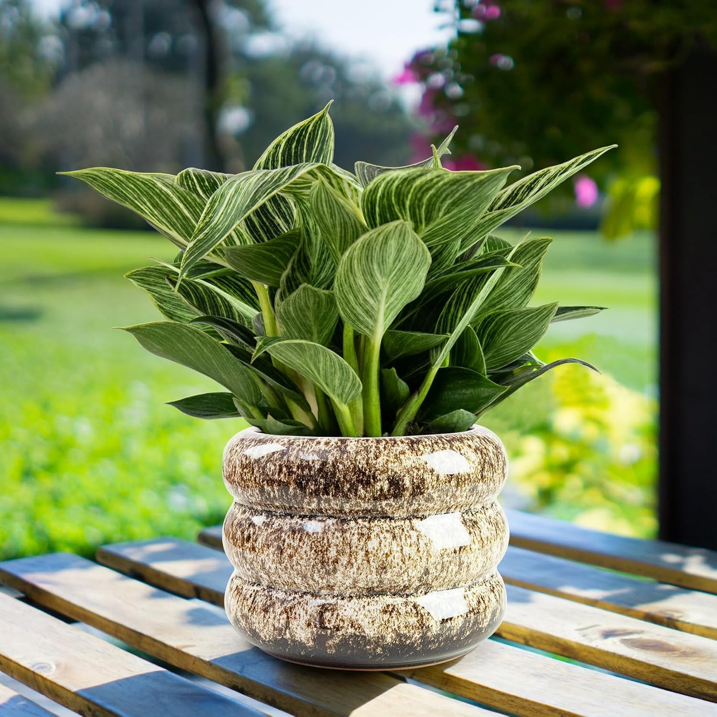 Ceramic 6 inch Plant Pot - Planter for Indoor Plants with Drainage Hole, Flower Pots for Orchid, Succulent,Outdoor Plants, Modern Glaze Planters for Home Office Decor Gift