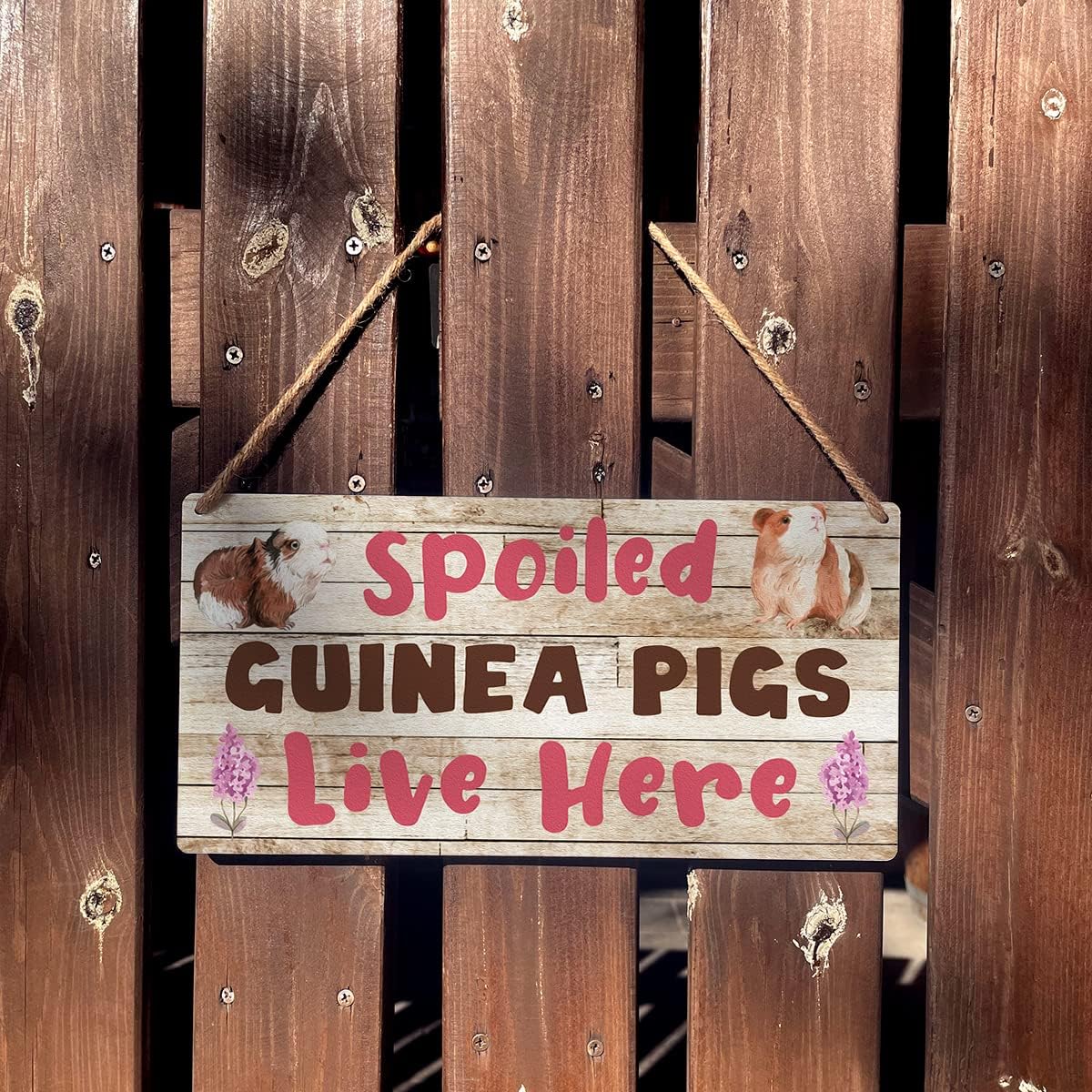 Qious Spoiled Guinea Pigs Live Here Sign Farmhouse Lovely Guinea Pigs Wooden Hanging Sign Plaque Rustic Wall Art Decor Home Decoration 12 x 6 Inches