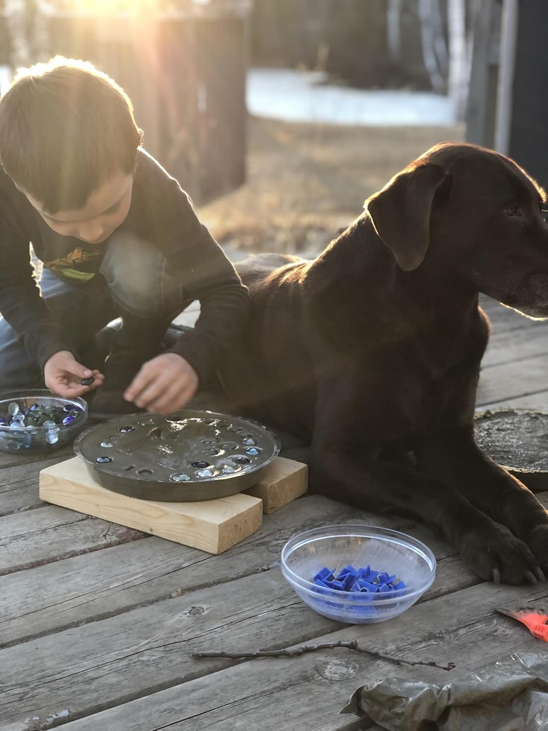 DIY Paw Print Stepping Stone Kit, Pet Memorial Stone, Pet Garden Stone (8 Inch)