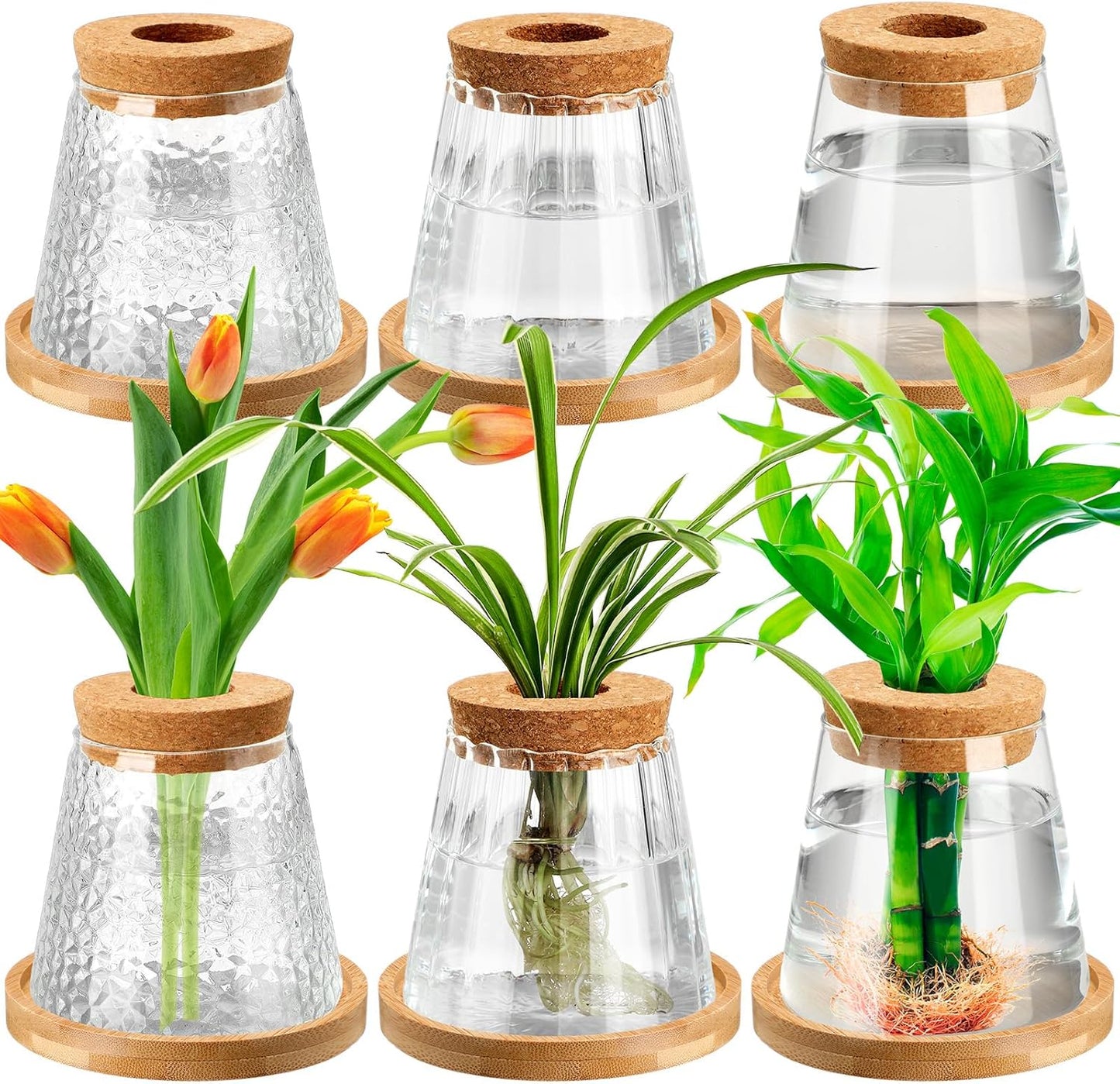 6 Pcs Plants Propagation Station Separated Desktop Plant Terrarium with Wood Lid and Stand, 3 Sizes Glass Planter Propagated Jars Propagation Vases for Indoor Home (Cute Style)