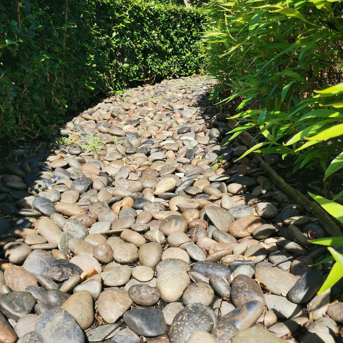 20lbs Natural River Rocks, 3"-4" Premium Pebbles for Garden and Landscape Design, Hand-Picked Smooth Stones for Fish Tank, Flower Pots, Indoor Water Fountains, Pathways, Backyard