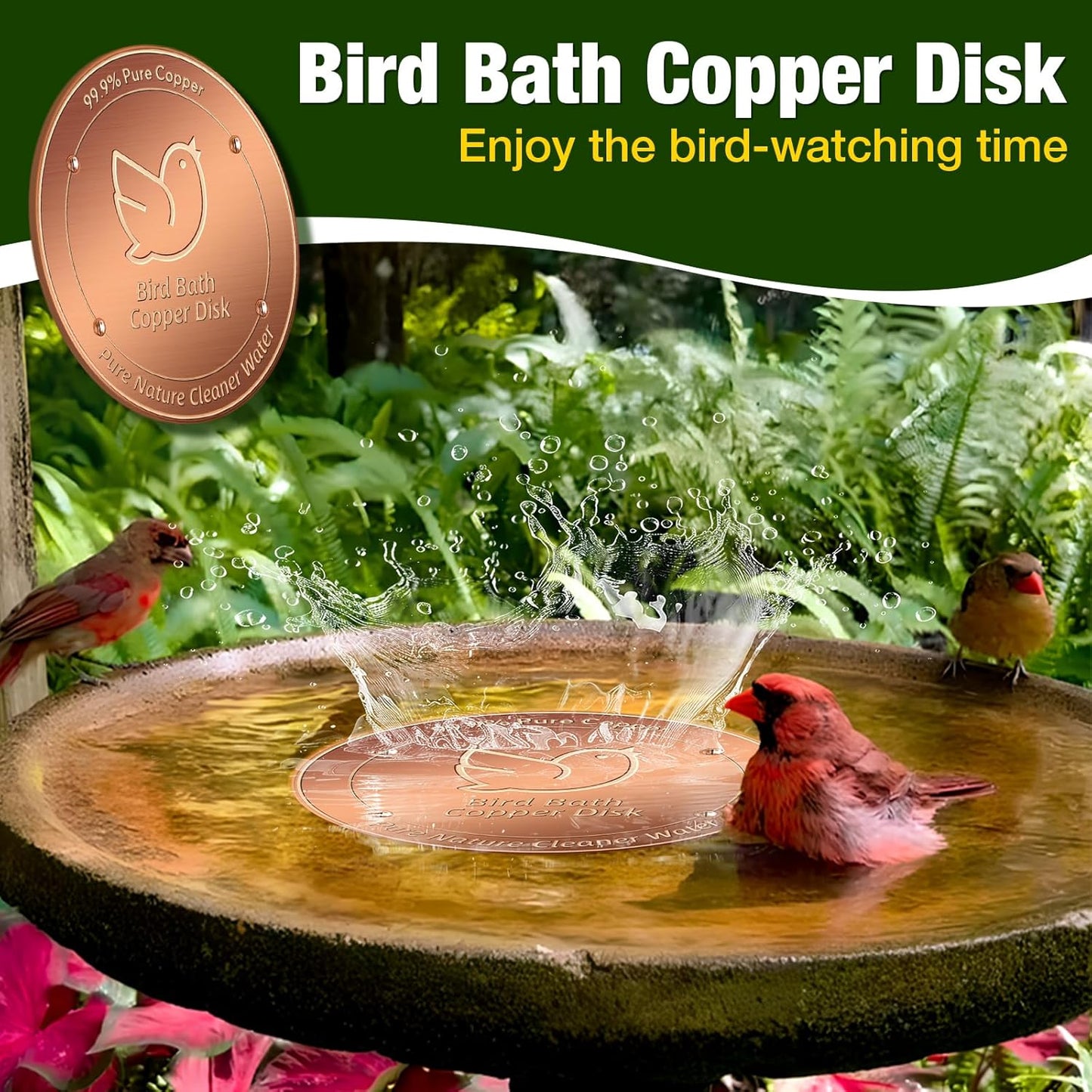 2Pack Bird Bath Copper Disk, 99.99% Pure Copper Cleaning Disc with Four-Point Support, Physical Safe Water Cleaner to Help Maintain Clearer Water for Outdoor Birdbaths & Bowls, All-Season Use