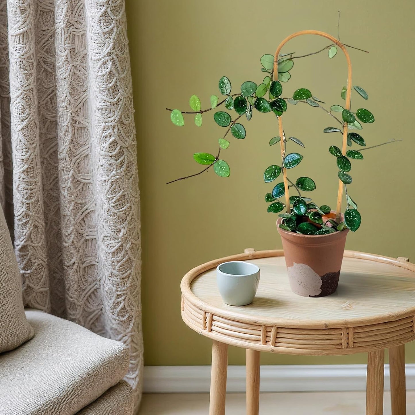 Indoor Plant Trellis for Climbing Plants 16in, 6 Pack Arch Bamboo Trellis for Potted Plants