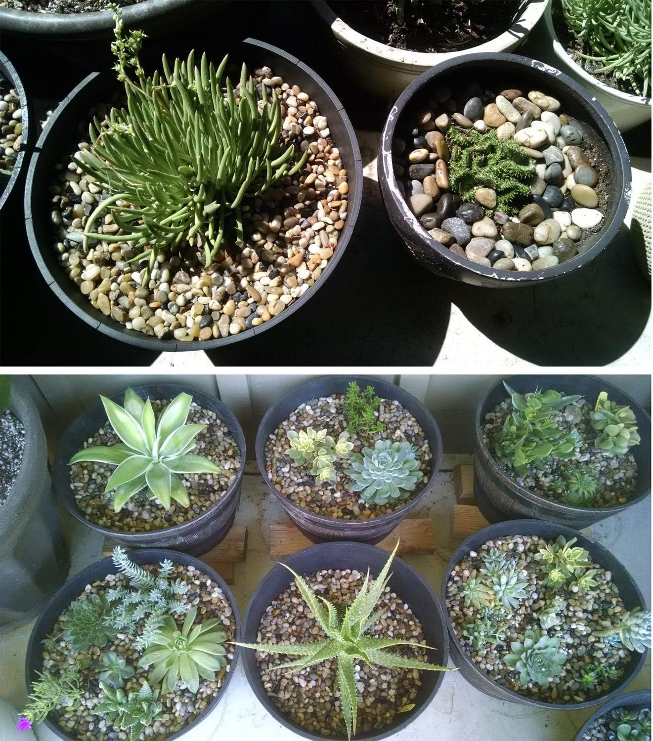 Voulosimi River Rock Stones, Natural Decorative Polished Mixed Pebbles Gravel,Outdoor Decorative Stones for Plant Aquariums, Landscaping, Vase Fillers (4 LB, Mixed Colors)