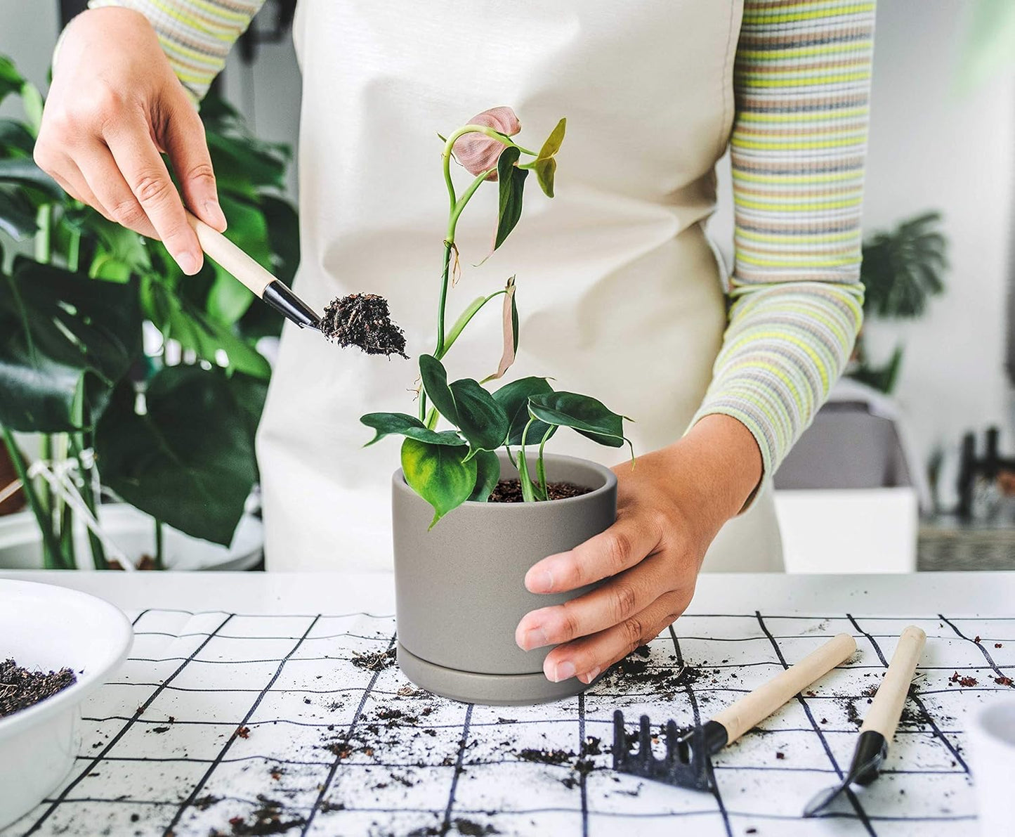 D'vine Dev Set of 4 Small Ceramic Plant Pots, 4.6 Inch Succulent Planter Pot for Plants with Drainage Hole and Saucer, Grey, 94-X-B-3