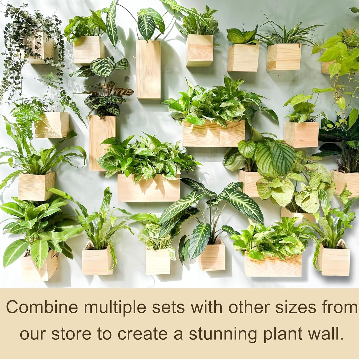 LaLaGreen Wooden Planter Box for Plants (4 Pack) Natural Wood Hanging Wall Planters for Indoor Plant Holder Vase for Dried Flowers, Modern Style Unique Living Room Bedroom Kitchen Home Office Decor