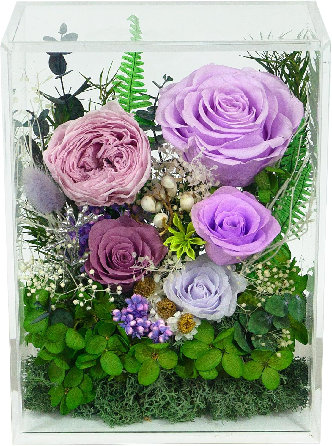 Valley of Rain & Forest Long-Lasting Real Flowers, Handcrafted Preserved Rose Bush For you to Send Love for All Occasions, Floral Arrangement for Indoor Decoration (Purple Rose)