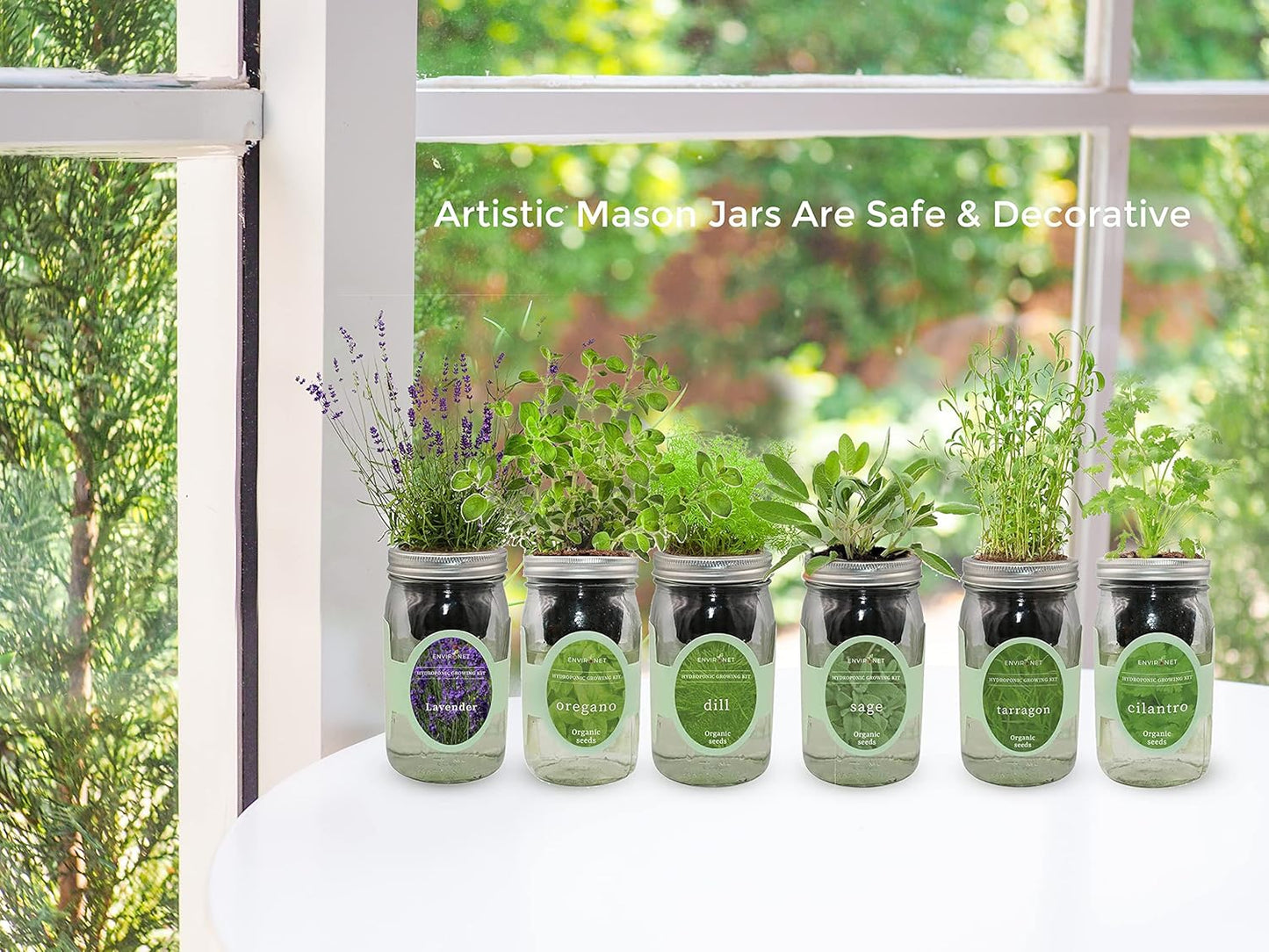 Hydroponic Herb Growing Kit, Self-Watering Mason Jar Herb Garden Starter Kit Indoor, Windowsill Herbs Garden, Grow Your Own Herbs from Organic Seeds (Lavender)