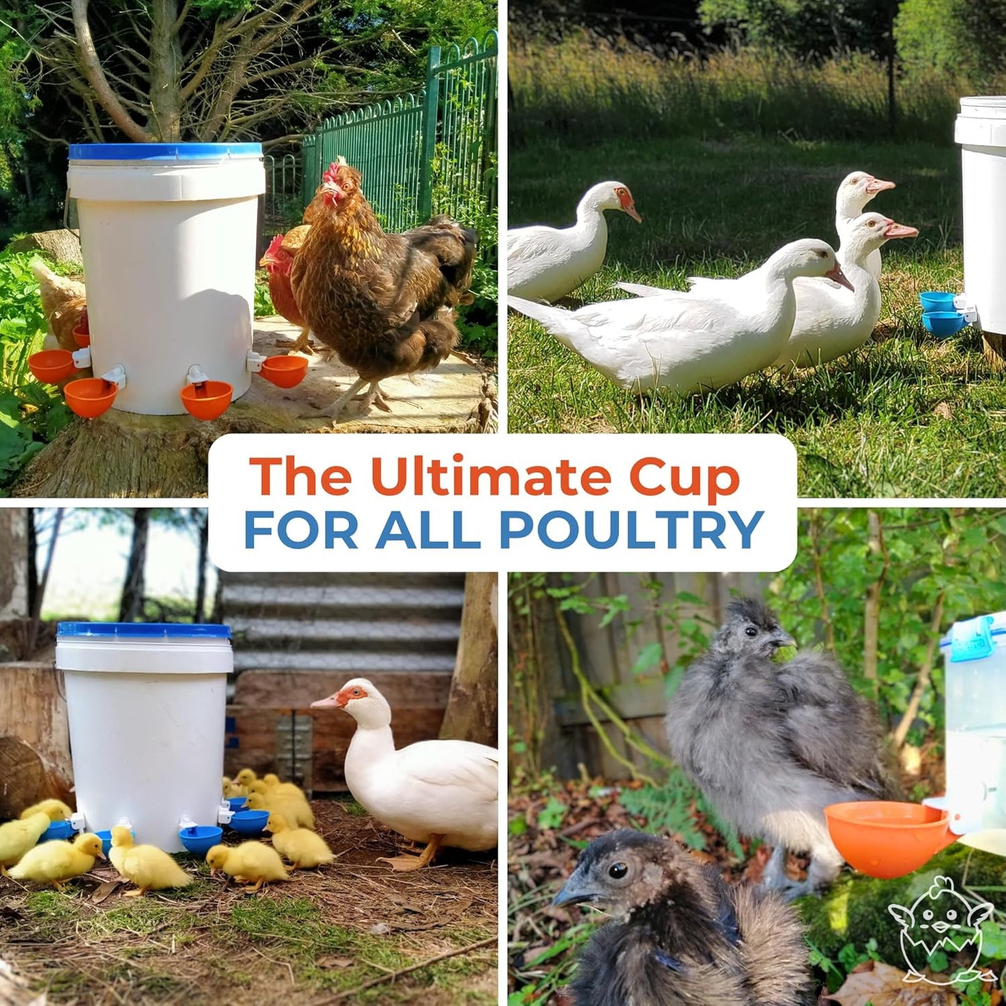 Lil Clucker - Blue Large Automatic Chicken Waterer Cups Suitable for Ducks, Geese, Turkeys, and Bunny Rabbit - Water Feeder Kit - Poultry Waterer - Pack of 5
