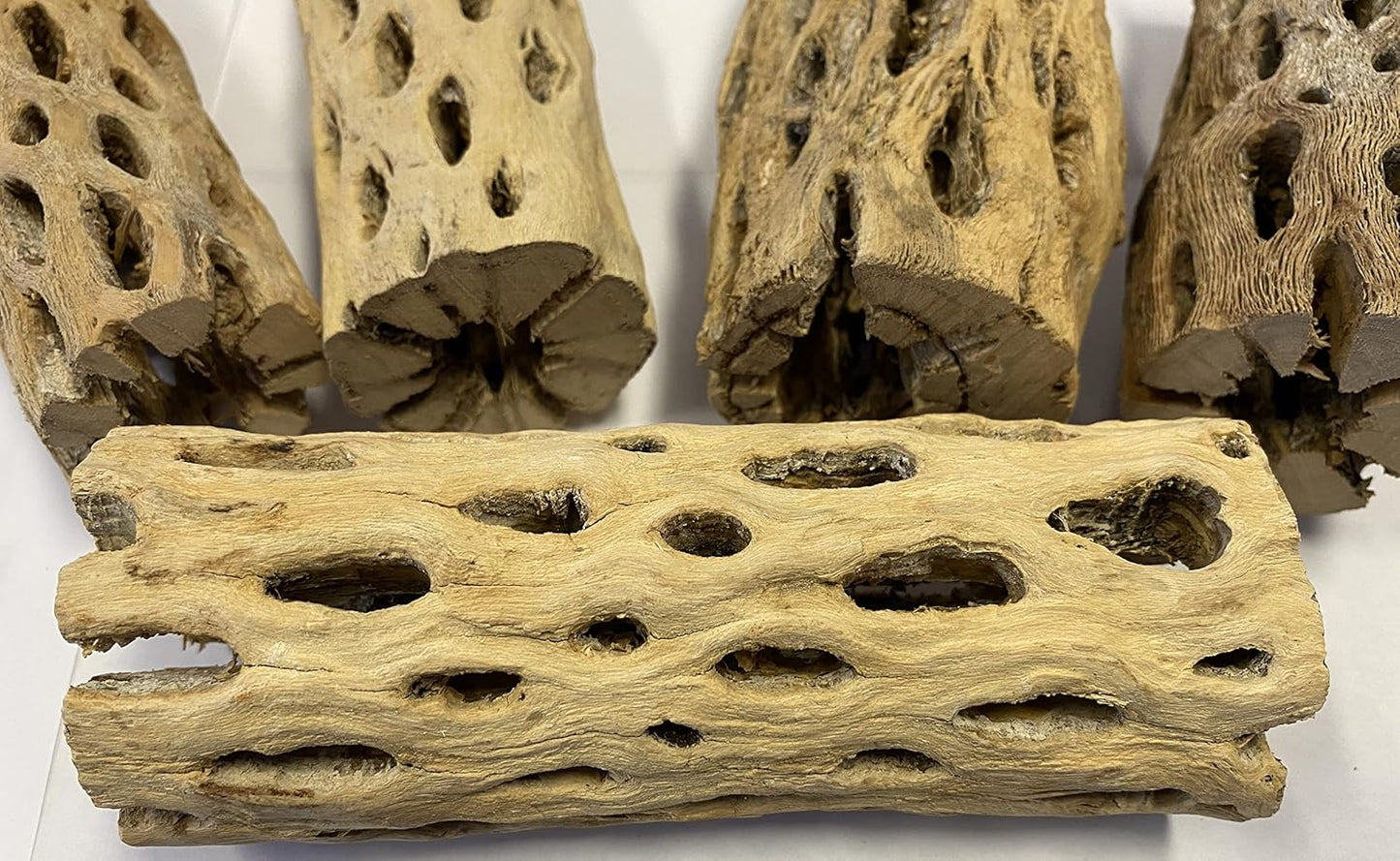 Awesome Aquatic up to 2 in Thick XL Teddy Bear/Chain Fruit/Buckhorn/Staghorn Cholla Wood Hollow Tube Wood Cactus Skeleton Tubes (6 in x up to 2 in)
