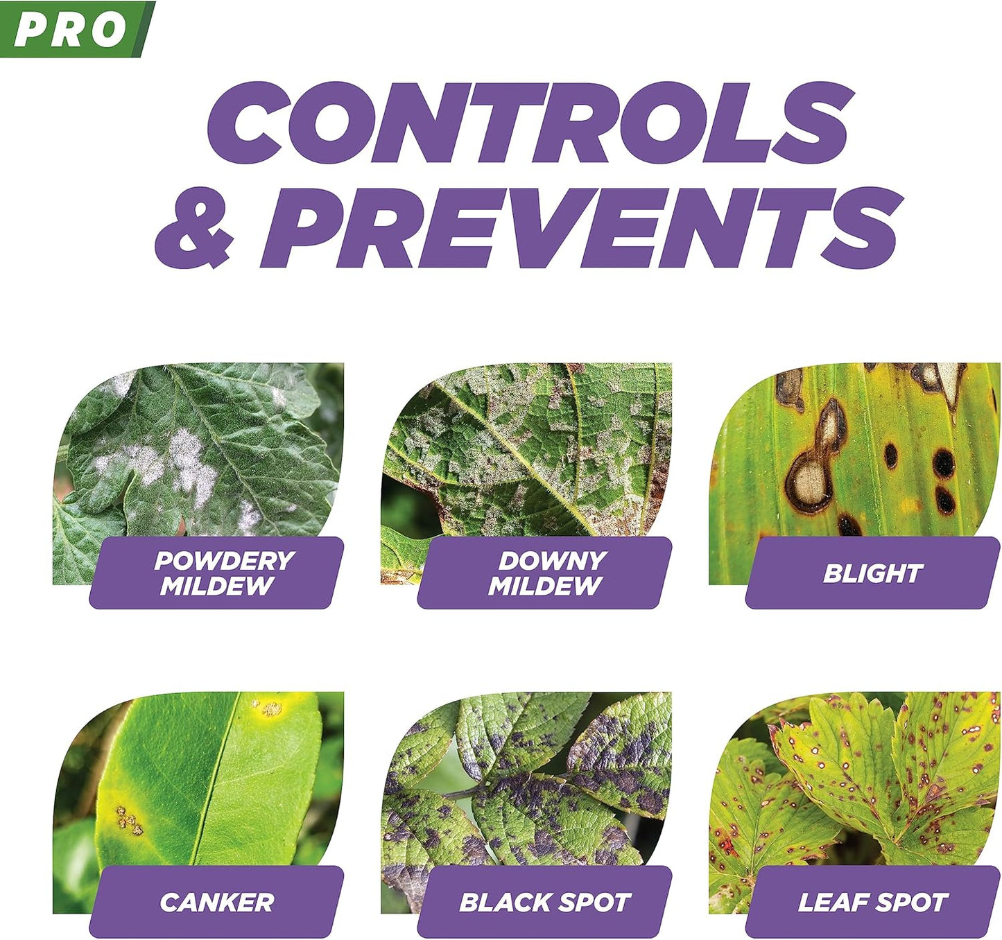 Earth's Ally Pro 3-in-1 Plant Spray 2.5 gal Super Concentrate | Insecticide, Fungicide & Spider Mite Control, Use on Indoor Houseplants and Outdoor Plants, Gardens & Trees - Insect & Pest Repellent