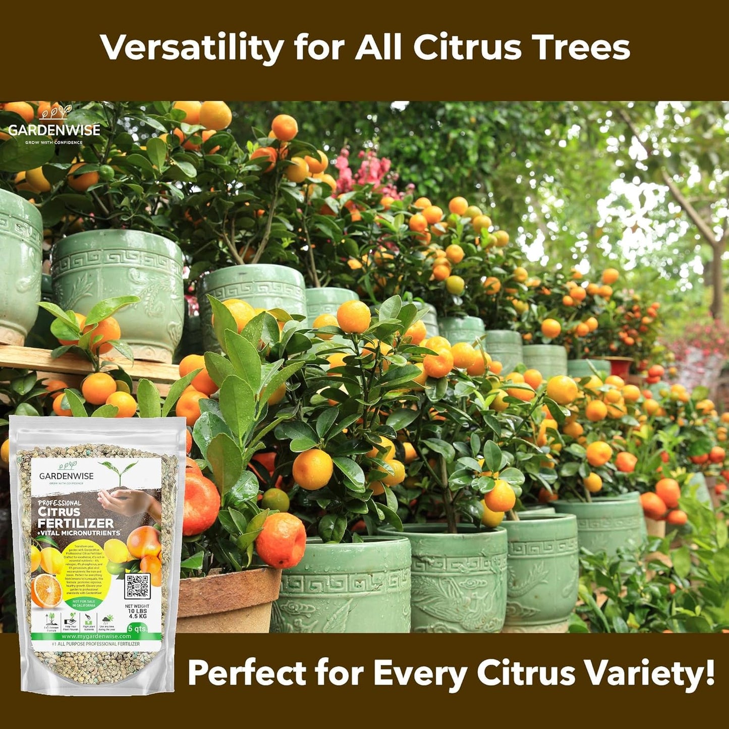 Professional Citrus Fertilizer + Vital Micronutrients; Perfect Balanced NPK for All Citrus; for Indoor and Outdoor Plants; Orange, Lime, Avocado and Lemon Tree Fertilizer (2 QUARTS)
